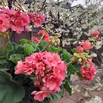 Отель типа 