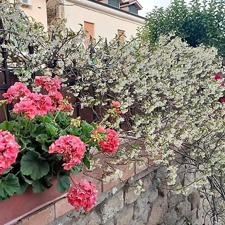 Quattro Lune