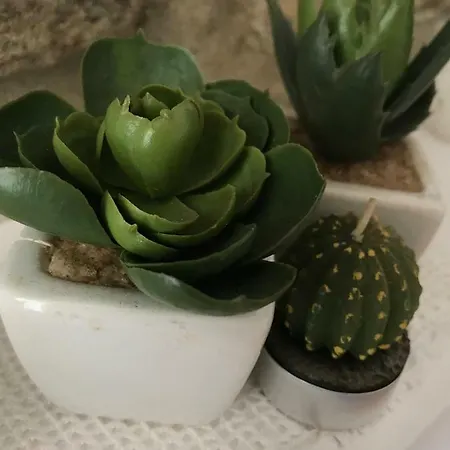 Bed and Breakfast Quattro Lune Prignano Cilento