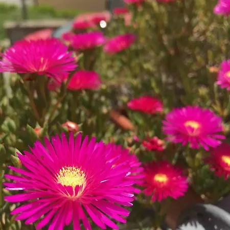 Quattro Lune Bed and Breakfast